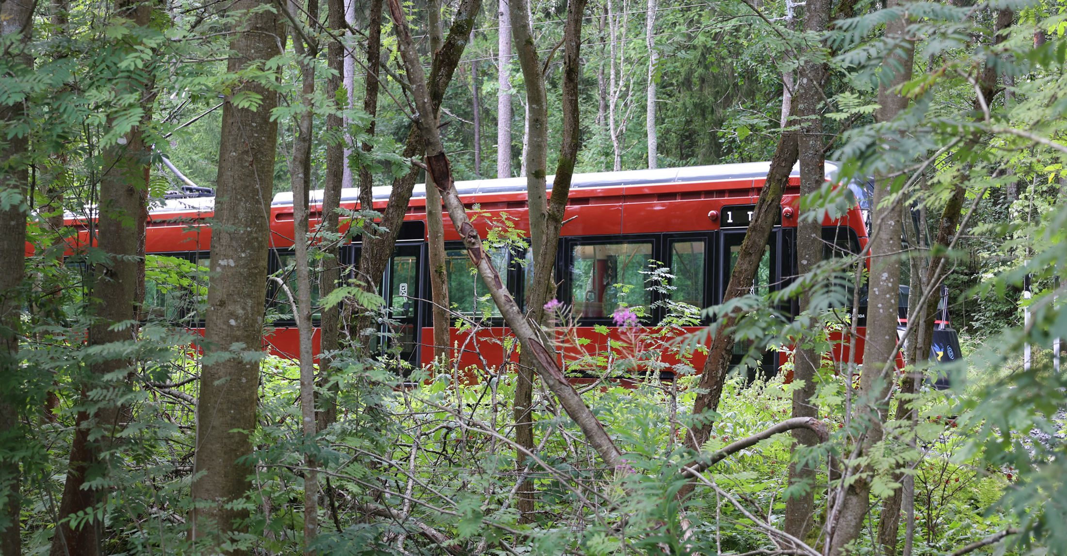 luontoratikka